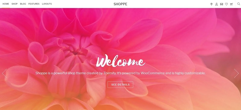 SHOPPE wordpress 主题