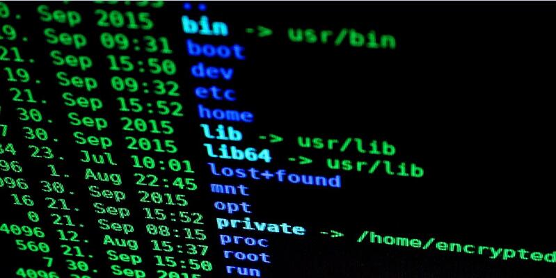 网站被黑了怎么办